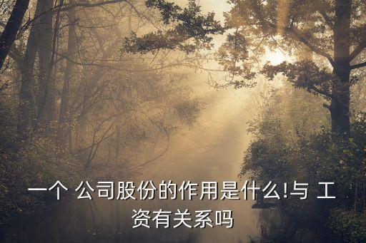 一個 公司股份的作用是什么!與 工資有關(guān)系嗎