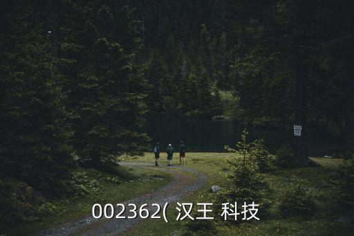 漢王科技股票王