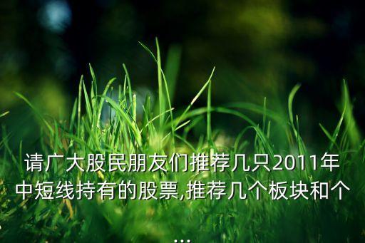 請廣大股民朋友們推薦幾只2011年中短線持有的股票,推薦幾個板塊和個...