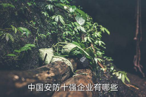 中國安防十強企業(yè)有哪些