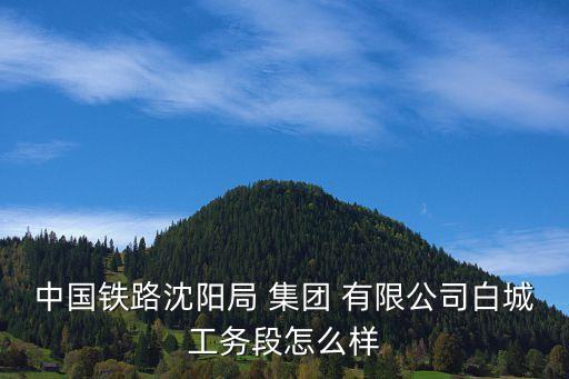 中國(guó)鐵路沈陽(yáng)局 集團(tuán) 有限公司白城工務(wù)段怎么樣