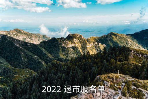 2022 退市股名單