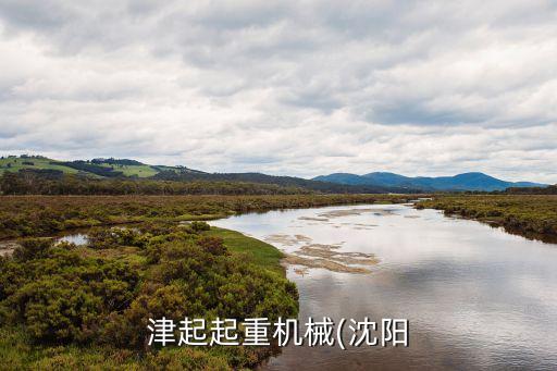 津起起重機(jī)械(沈陽