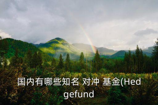 國內(nèi)有哪些知名 對沖 基金(Hedgefund