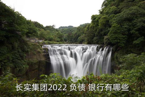 長實集團2022 負債 銀行有哪些