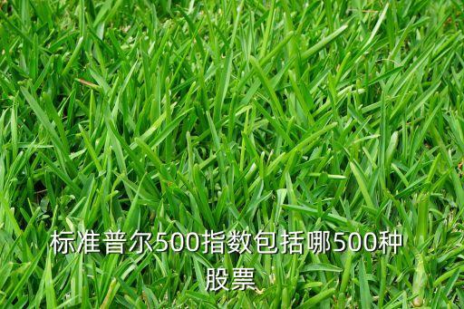 標準普爾500指數(shù)包括哪500種 股票