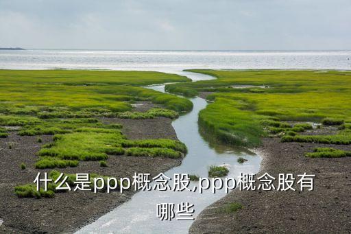 什么是ppp概念股,ppp概念股有哪些