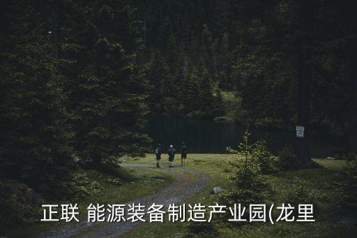 嘉興市森源能源有限公司,森源恒碩生物質(zhì)能源有限公司