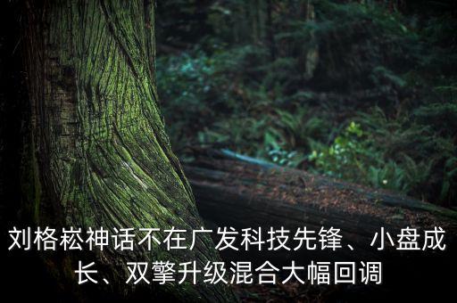 劉格崧神話不在廣發(fā)科技先鋒、小盤成長、雙擎升級混合大幅回調