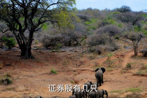 華升股份有限公司,湖南華升股份有限公司