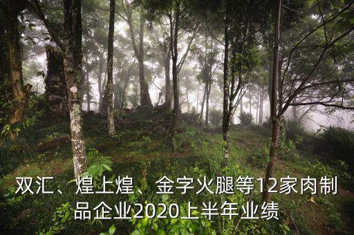 雙匯、煌上煌、金字火腿等12家肉制品企業(yè)2020上半年業(yè)績(jī)