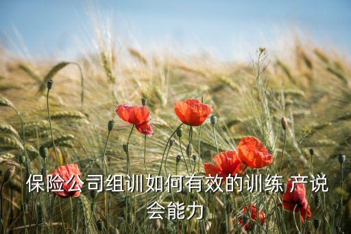  保險(xiǎn)公司組訓(xùn)如何有效的訓(xùn)練 產(chǎn)說(shuō)會(huì)能力