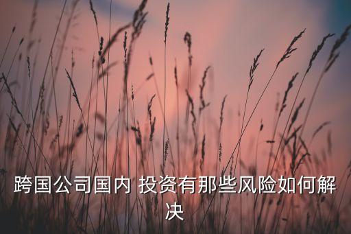 跨國公司國內(nèi) 投資有那些風(fēng)險如何解決