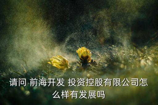 請(qǐng)問 前海開發(fā) 投資控股有限公司怎么樣有發(fā)展嗎