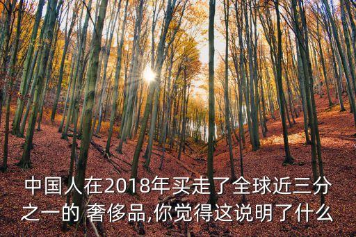 中國人在2018年買走了全球近三分之一的 奢侈品,你覺得這說明了什么