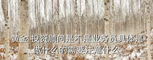  黃金 投資顧問是不是業(yè)務(wù)員具體是做什么的需要注意什么