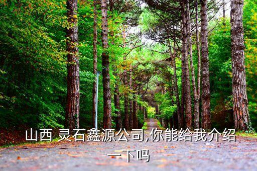  山西 靈石鑫源公司,你能給我介紹一下嗎