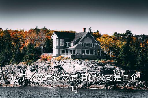  遼寧永安建設(shè)發(fā)展 有限公司是國企嗎