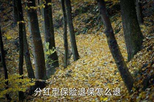 公司分紅保險處置方式,分紅保險一般采用兩種分紅方式