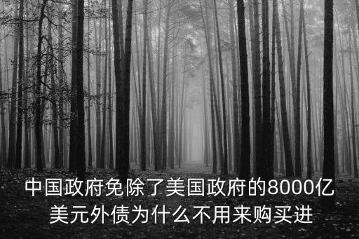 中國(guó)政府免除了美國(guó)政府的8000億 美元外債為什么不用來(lái)購(gòu)買(mǎi)進(jìn)