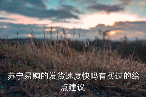  蘇寧易購(gòu)的發(fā)貨速度快嗎有買(mǎi)過(guò)的給點(diǎn)建議