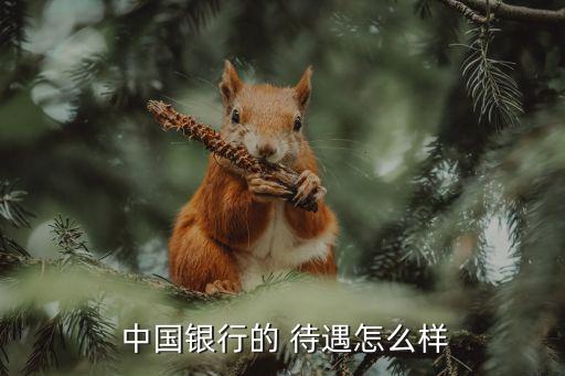 中國銀行迪拜分行待遇,迪拜有中國銀行網(wǎng)點(diǎn)嗎