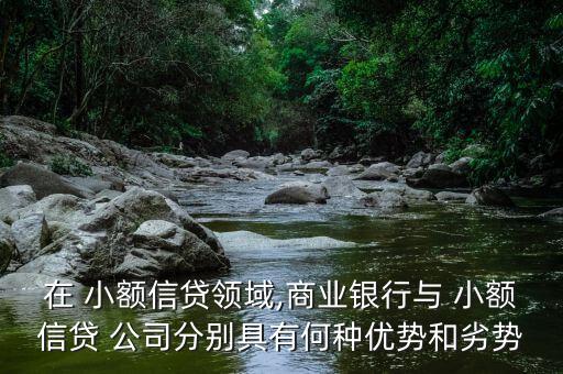 在 小額信貸領(lǐng)域,商業(yè)銀行與 小額信貸 公司分別具有何種優(yōu)勢(shì)和劣勢(shì)