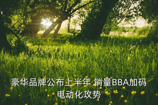 豪華品牌公布上半年 銷(xiāo)量BBA加碼電動(dòng)化攻勢(shì)