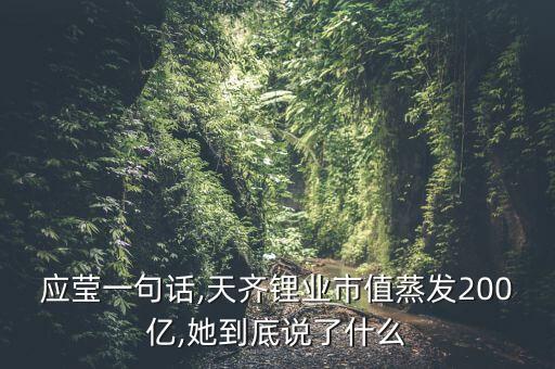 天奇理業(yè)股票行情,天齊鋰業(yè)股票行情