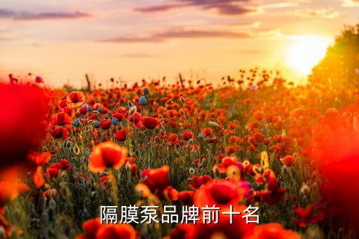 湖南南方長河泵業(yè)有限公司,高郵長河泵業(yè)有限公司