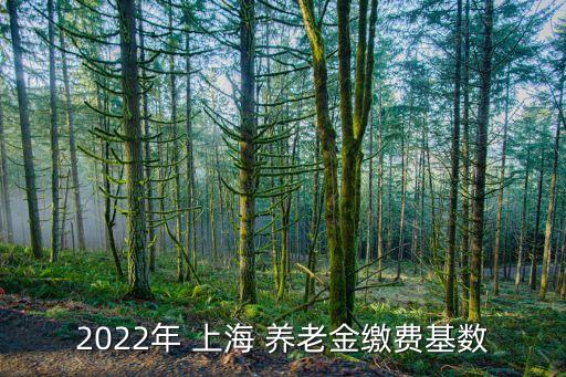 2022年 上海 養(yǎng)老金繳費(fèi)基數(shù)