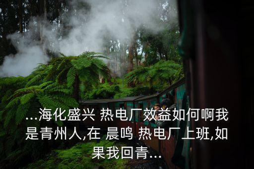 ...海化盛興 熱電廠效益如何啊我是青州人,在 晨鳴 熱電廠上班,如果我回青...