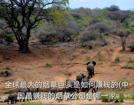 全球最大的煙草巨頭是如何賺錢的(中國最賺錢的煙草公司是哪一家