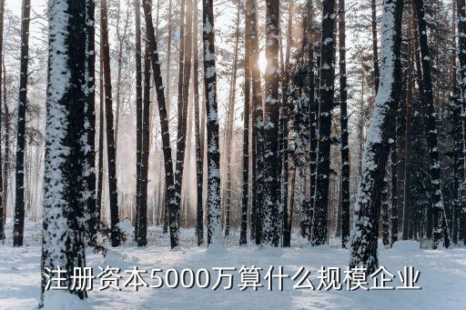 五千萬公司注冊,銷售額五千萬的公司