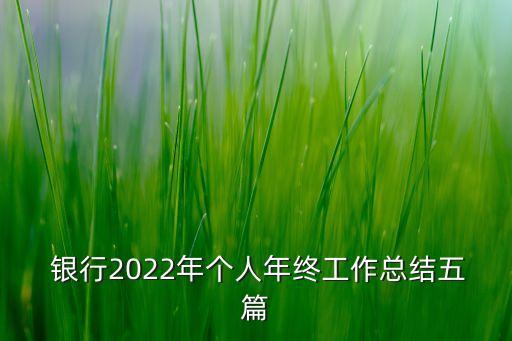  銀行2022年個人年終工作總結(jié)五篇