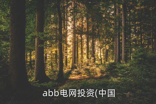  abb電網投資(中國