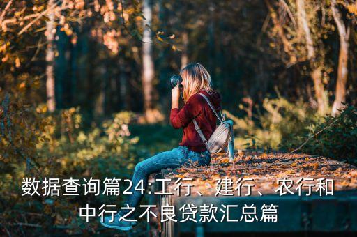 數(shù)據(jù)查詢篇24:工行、建行、農(nóng)行和中行之不良貸款匯總篇