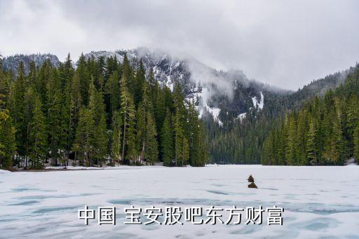 中國 寶安股吧東方財(cái)富