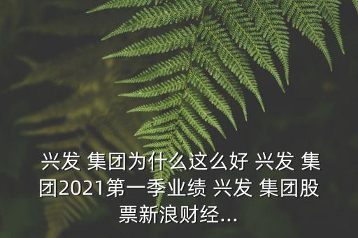 湖北興發(fā)化工集團股份有限公司怎么樣