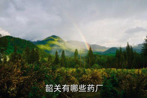 韶關麗珠集團利民制藥廠資產,麗珠集團利民制藥廠怎么樣