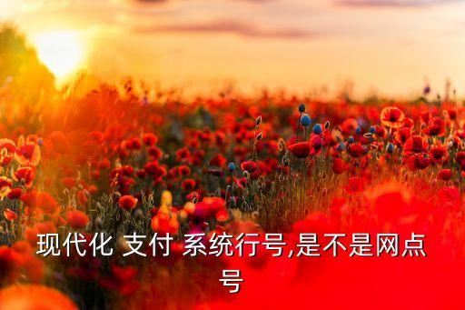 現(xiàn)代化 支付 系統(tǒng)行號(hào),是不是網(wǎng)點(diǎn)號(hào)