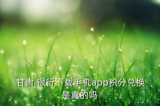  甘肅 銀行下載手機(jī)app積分兌換是真的嗎