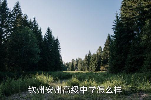 欽州安州高級(jí)中學(xué)怎么樣