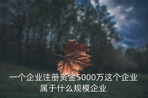 一個(gè)企業(yè)注冊(cè)資金5000萬這個(gè)企業(yè)屬于什么規(guī)模企業(yè)