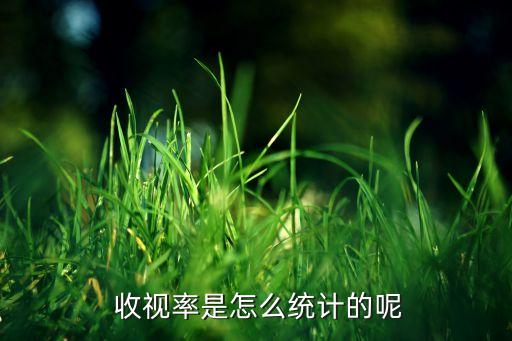  收視率是怎么統(tǒng)計(jì)的呢