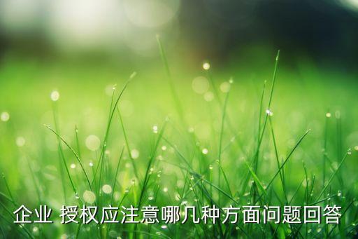 企業(yè) 授權(quán)應(yīng)注意哪幾種方面問題回答