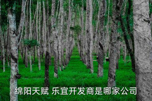 綿陽(yáng)天賦 樂宜開發(fā)商是哪家公司