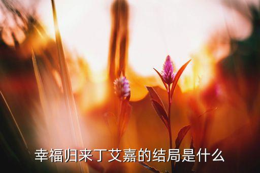 幸福歸來丁艾嘉的結(jié)局是什么