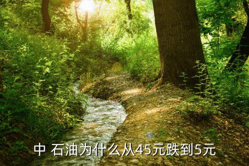 中 石油為什么從45元跌到5元