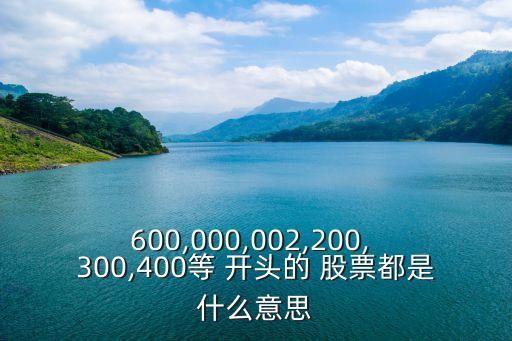 600,000,002,200, 300,400等 開頭的 股票都是什么意思